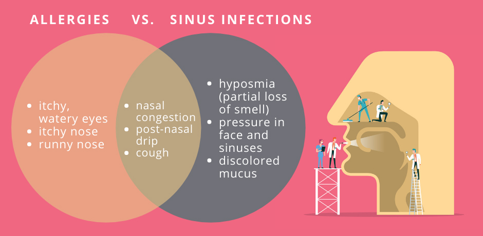 Allergies Or Sinus Infection? An ENT Explains The Link And How To ...