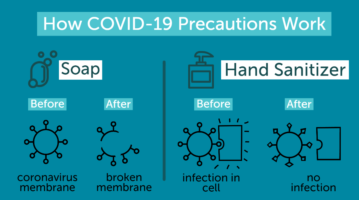 The Biology Of Coronavirus Preventative Measures | Jefferson Health